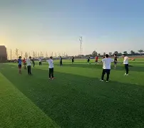 开云-最佳阵容教练组合搭配参考
